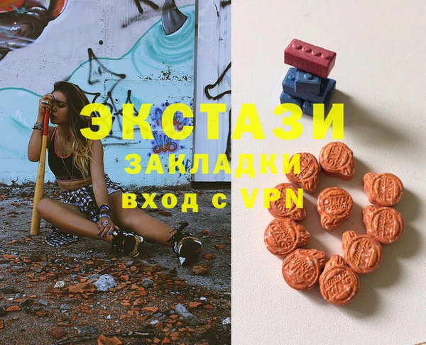 индика Коряжма