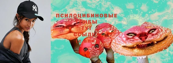 дмт Кукмор