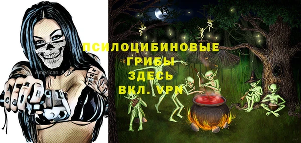 Альфа ПВП Кулебаки
