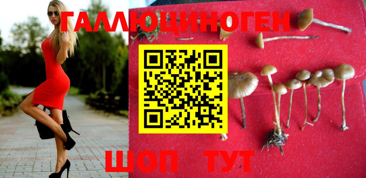 Псилоцибиновые грибы мухоморы Малгобек