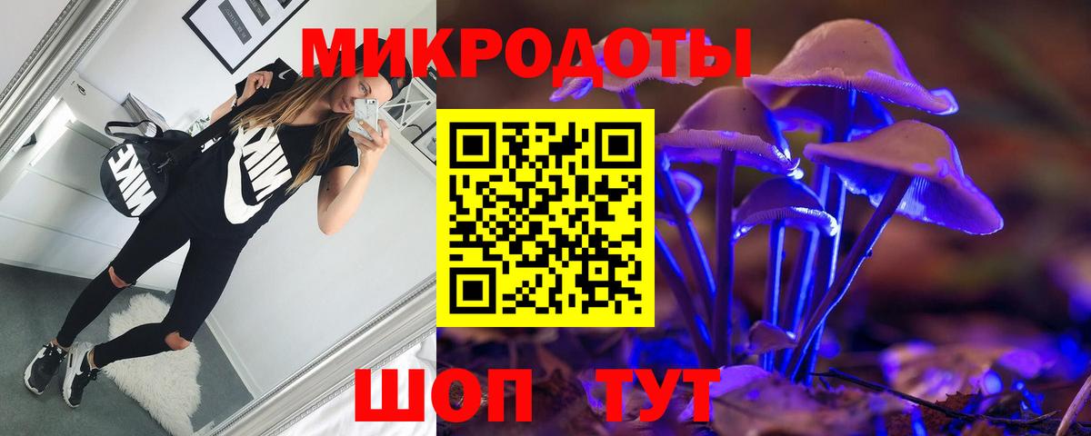 Малгобек  где купить наркотик  Вход с VPN  Псилоцибиновые грибы прущие грибы 