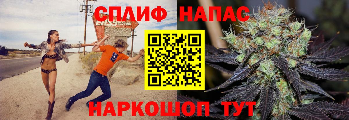 Каннабис гибрид Малгобек
